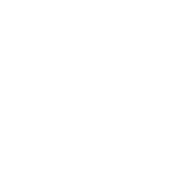 Global Visionary Award 2021