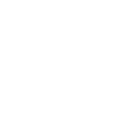 Capital Market Solution Award 2020